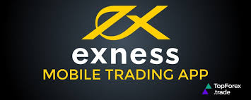 Mastering Your Trades with Exness MT4 Terminal