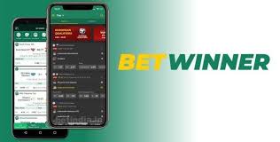 Betwinner Your Gateway to Online Betting Success 1169071719